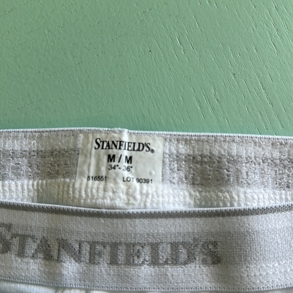 BNWT Stanfield’s mens white underwear  Y-front brief - Picture 2 of 3